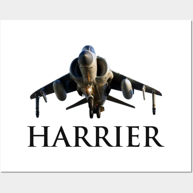 Sea Harrier Jump Jet Wall Art by SteveHClark